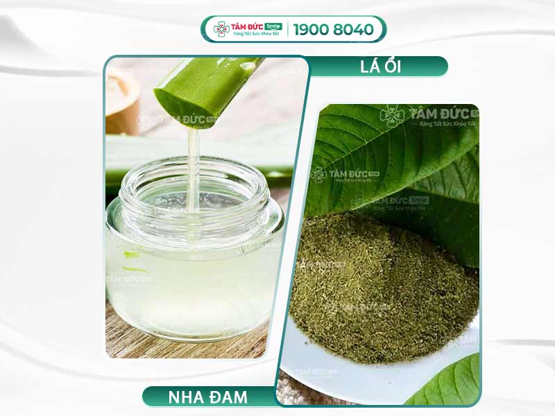 BẬT MÍ 10+ CÁCH ĐIỀU TRỊ SƯNG NƯỚU RĂNG TẠI NHÀ NHANH CHÓNG VÀ AN TOÀN