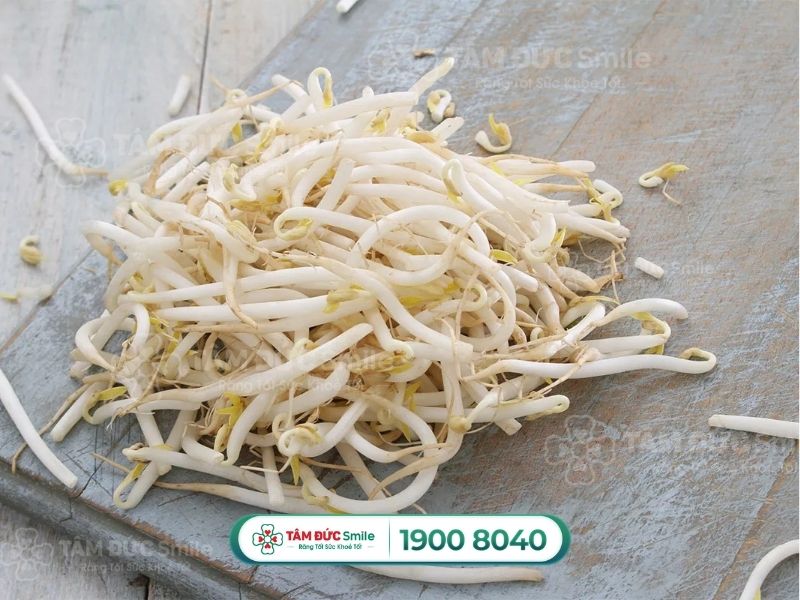 Dinh dưỡng trong giá đỗ