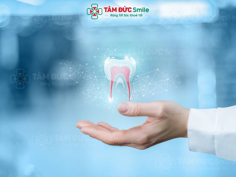 hàm răng người trưởng thành có bao nhiêu cái