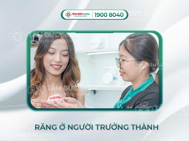 HÀM RĂNG NGƯỜI TRƯỞNG THÀNH CÓ BAO NHIÊU CÁI? PHÂN LOẠI VÀ CHỨC NĂNG CỦA RĂNG