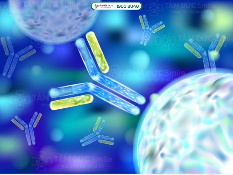 kháng thể là gì? kháng thể bất thường và kháng thể tự miễn