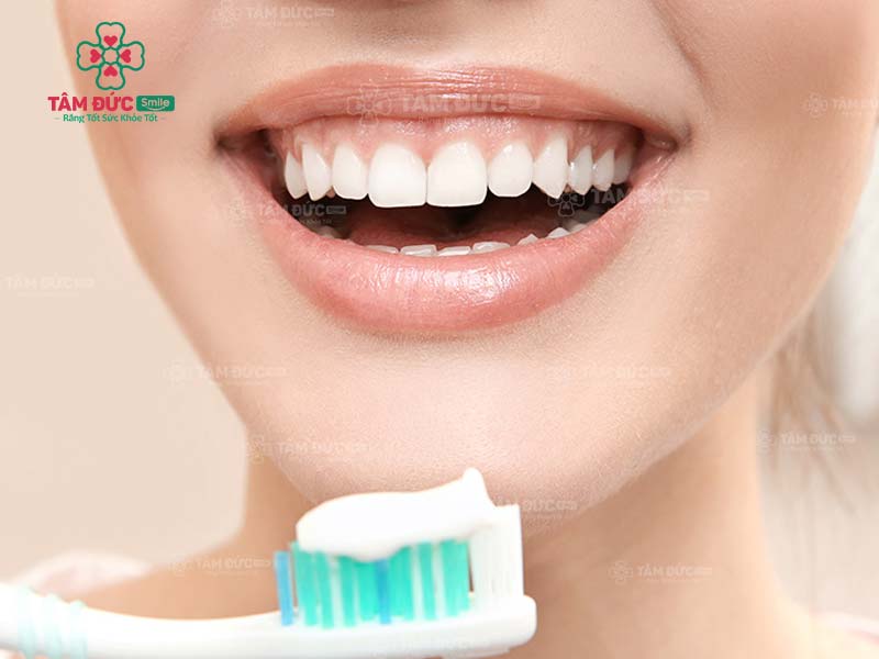 khoang miệng gồm những bộ phận nào