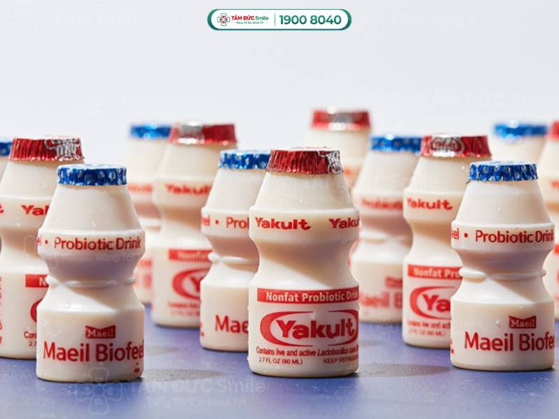 lợi khuẩn probiotic là gì