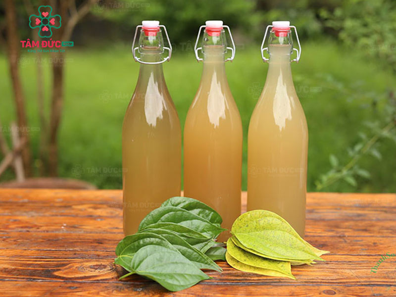 lá trầu không làm giảm cảm giác đau khi bé sưng nướu mọc răng