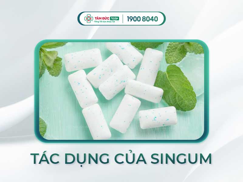 NHAI SINGUM CÓ TÁC DỤNG GÌ? LỢI ÍCH VÀ LƯU Ý KHI SỬ DỤNG