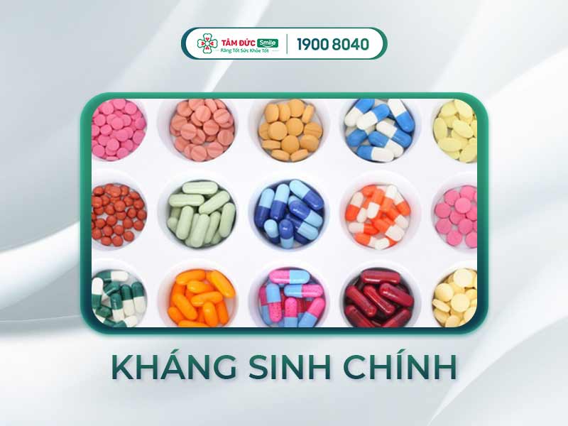 7 NHÓM KHÁNG SINH CHÍNH BAO GỒM NHỮNG GÌ? CƠ CHẾ HOẠT ĐỘNG